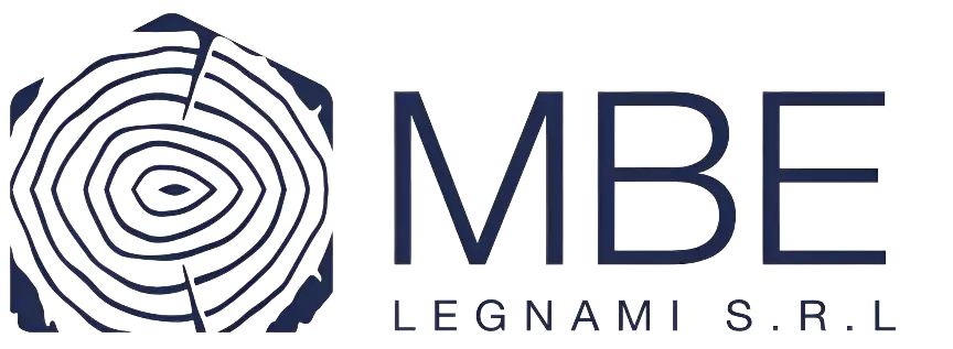 MBE LOGO